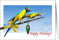 Happy Holidays Macaw Birds with Ornament and Candy Cane card