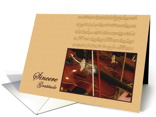 Violin Sincere Gratitude - Thank You Teacher card (616324)