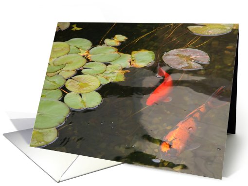 Koi Fish in Pond - Blank inside card (636177)