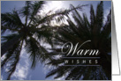 Warm Wishes - Holiday, Christmas, New Years Day - Palm Trees on a Sunny Day card