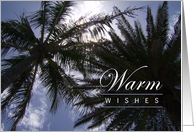 Warm Wishes -...