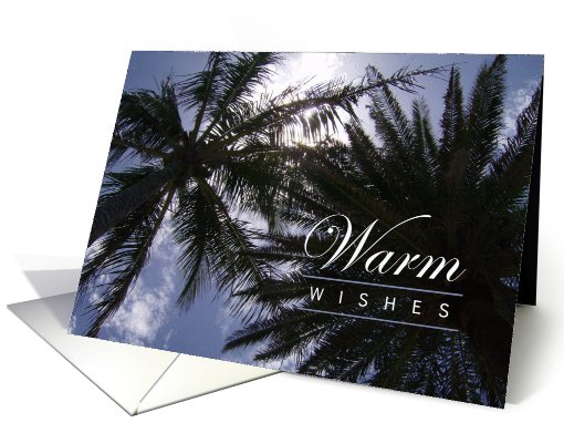 Warm Wishes - Birthday - Palm Trees on a Sunny Day card (719610)