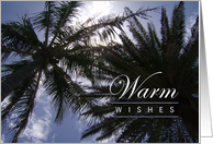 Warm Wishes - Birthday - Palm Trees on a Sunny Day card