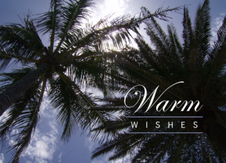 Warm Wishes -...