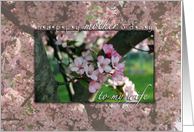 Happy Mother’s Day for Wife-Flowering Tree Close-up-Beautiful Pink Streaks of Color card