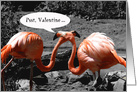 Psst...Wanna Neck-Valentine’s Day Flamingos card