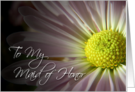 To My Beautiful Maid of Honor-Thank You, white Daisy card