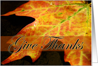 Give thanks-fall...