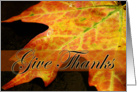 Give thanks-fall leaf, thanksgiving card