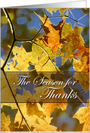 The Season for Thanks-Happy Thanksgiving-fall leaves card