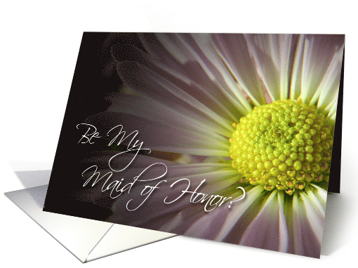 Be my Maid of Honor? You mean so much to me-daisy card (628968)
