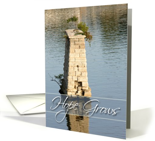 Hope grows in unlikely places-tree growing in ruins. card (632621)