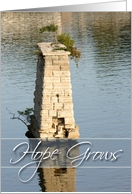 Hope grows in unlikely places-tree growing in ruins. card