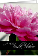 Join us for a Bridal Shower-peony with water droplets card