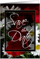 Save the Date-Red Roses and White Daisies card