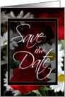 Save the Date-Red Roses and White Daisies card