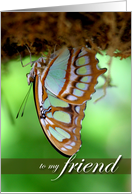 Friend-Hanging With You is a Beautiful Thing-Hanging Butterfly card