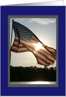 Thank You for Your Service-Flag Flying in the Sun card