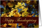 Happy Thanksgiving-Fall Leaves card