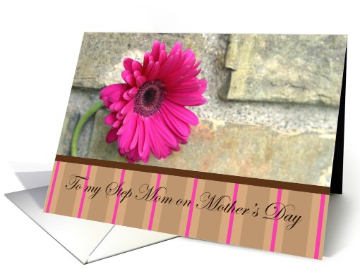 For My Step-Mom On Mother's Day-pink daisy and stripes card (774480)