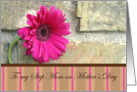 For My Step-Mom On Mother’s Day-pink daisy and stripes card