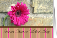 For My Aunt On Mother’s Day-pink daisy and stripes card