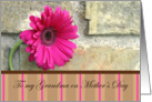 For My Grandma On Mother’s Day-pink daisy and stripes card