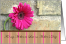 For My Mother in Law On Mother’s Day-pink daisy and stripes card