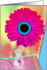 Happy Birthday card