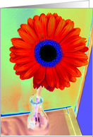 Happy Birthday card