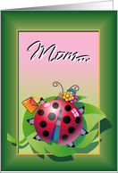Ladybug Mothers Day Card for Mom card