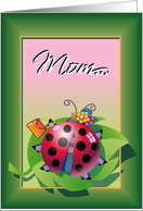 Ladybug Mothers Day...