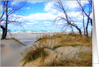 Big Waves on Lake Michigan card