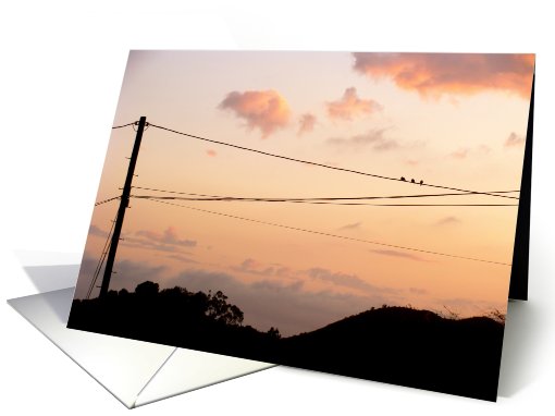 3 Little Birds card (622808)