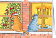 Interfaith Curious Cats with Christmas Tree and Menorah card
