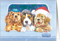 Christmas, Hanukkah and Peace Dogs card