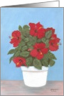 Red Hibiscus in White Pot card