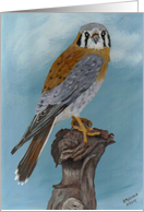 Bird on Limb, Blank Note Card
