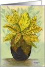 Yellow and green croutons in a black vase card