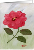 Red Hibiscus- flower-blank note card