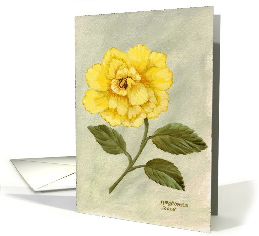 Yellow Hibiscus-single flower-note card-stillife card (638539)