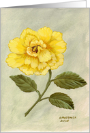 Yellow Hibiscus-single flower-note card-stillife card