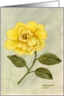 Yellow Hibiscus-single flower-note card-stillife card