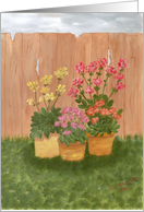 Pots of colorful flowers against a fence, blank note card