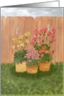 Pots of colorful flowers against a fence, blank note card