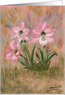 Pink flowers, blank note card