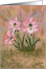 Pink flowers, blank note card