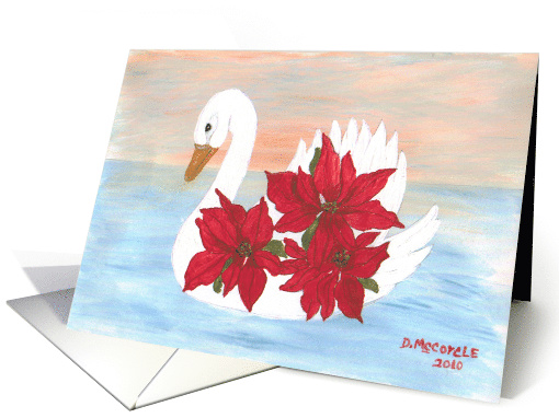 White swan, poinsettias, blank note card (656299)