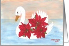 White swan, poinsettias, blank note card