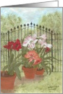 Garden Gate, landscape,note card